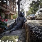 Mireya Kilback Profile Picture